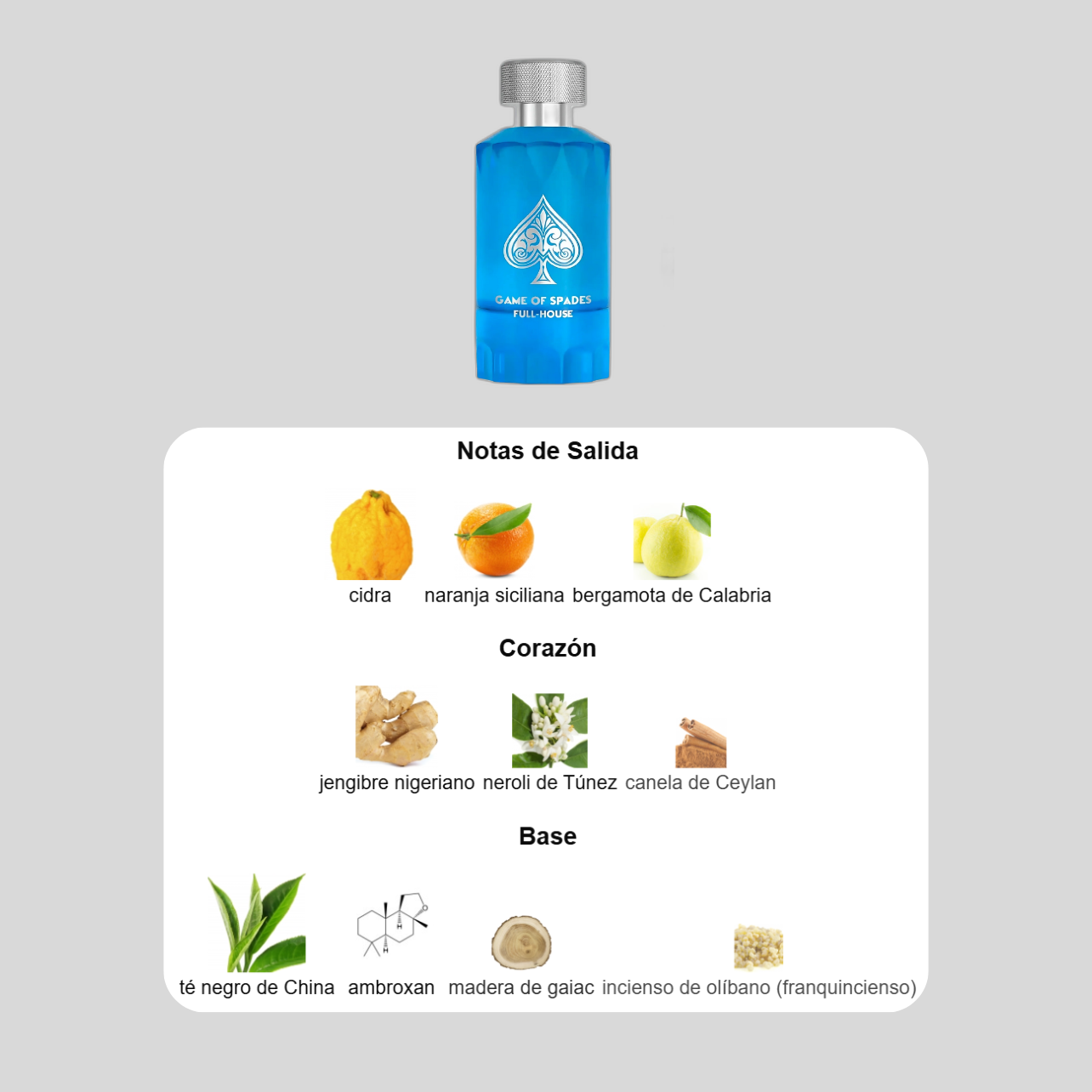 Decant Discovery Set - Full Milano