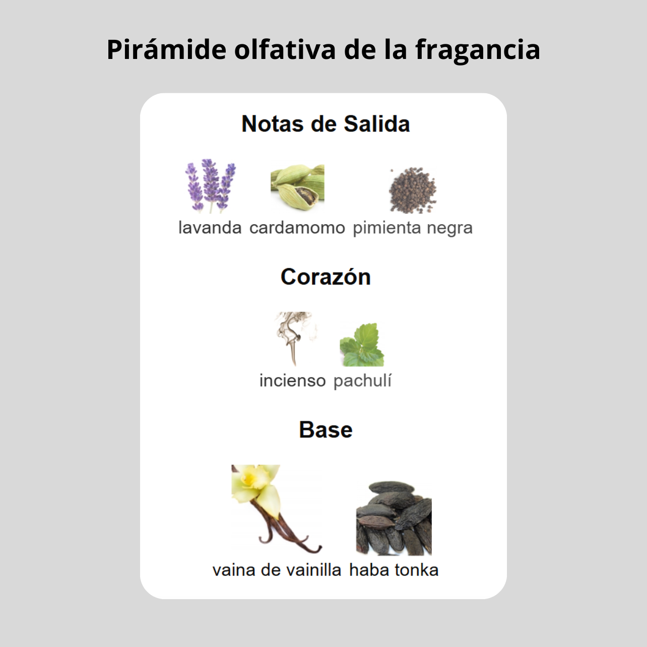 Decant - Rabanne Invictus Victory Elixir