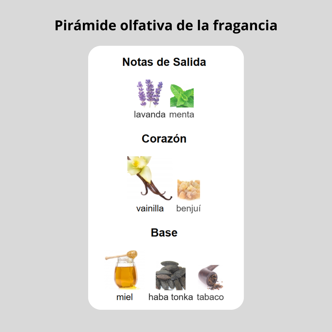 Decant - Jean Paul Gaultier Le Male Elixir