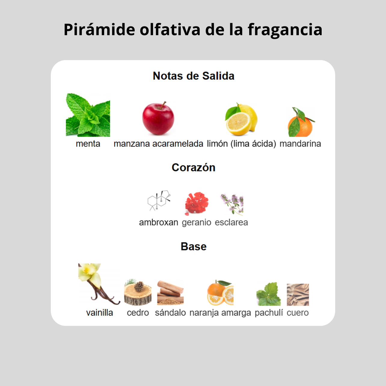 Decant - Versace Eros EDP