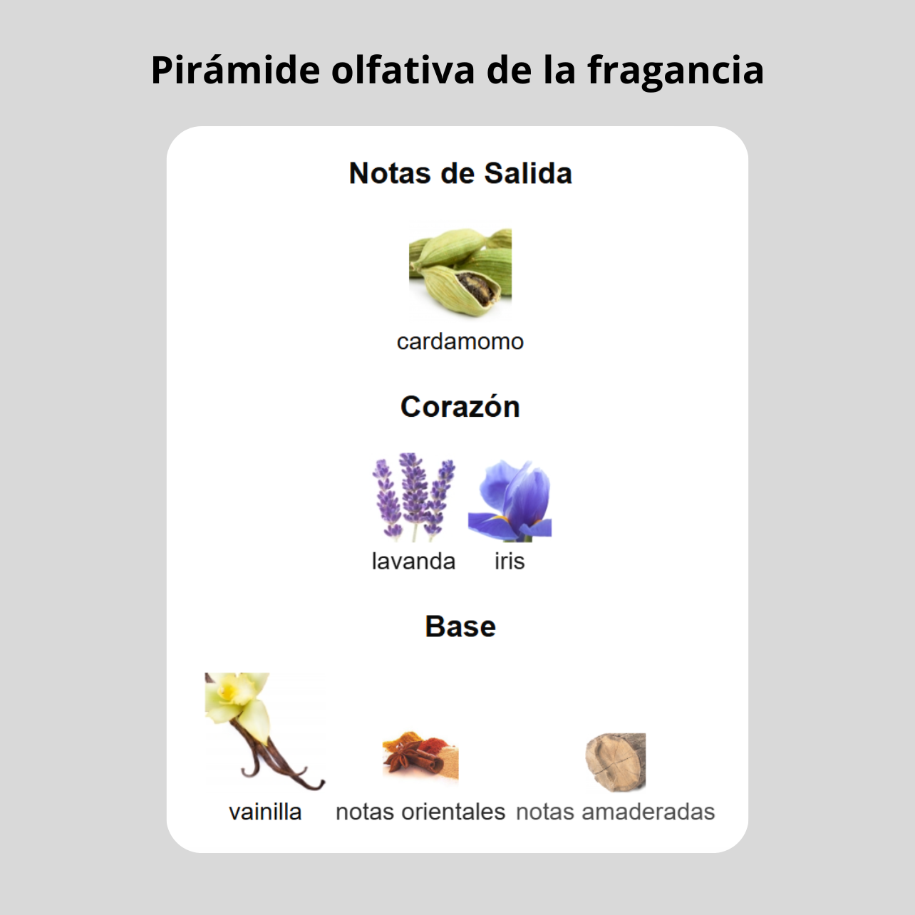 Decant - Jean Paul Gaultier Le male Le Parfum