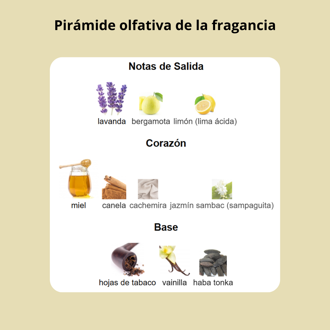 Decant - Xerjoff Naxos